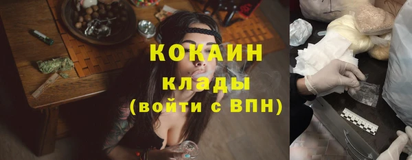 гашик Богородск
