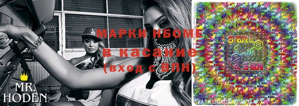 шишки Богородицк