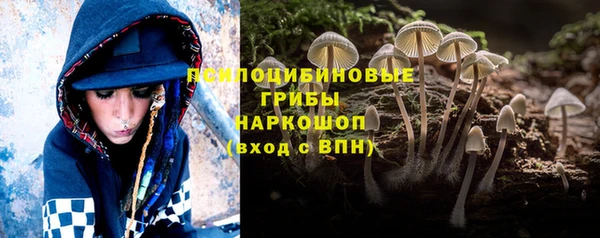 гашик Богородск