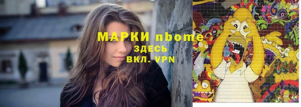 гашик Богородск