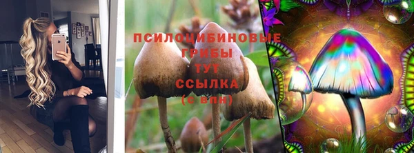 МДПВ Богданович