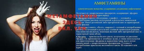 шишки Богородицк