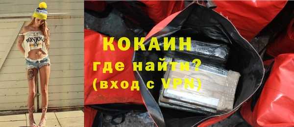 шишки Богородицк