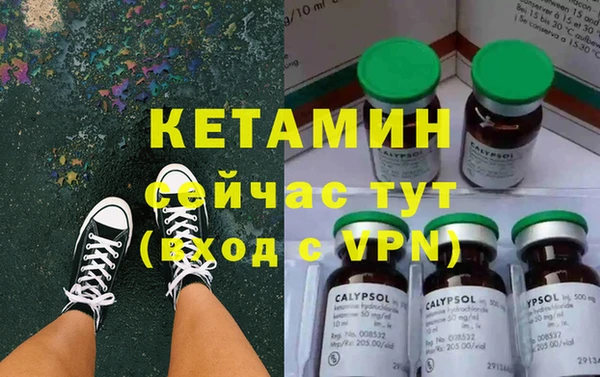 шишки Богородицк