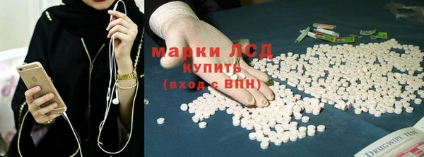 шишки Богородицк