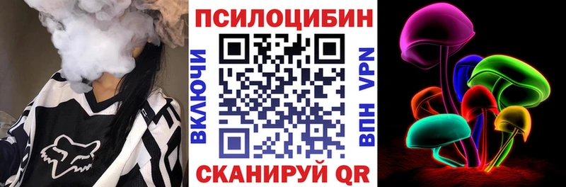 дарнет шоп Юхнов Псилоцибиновые грибы Psilocybine cubensis